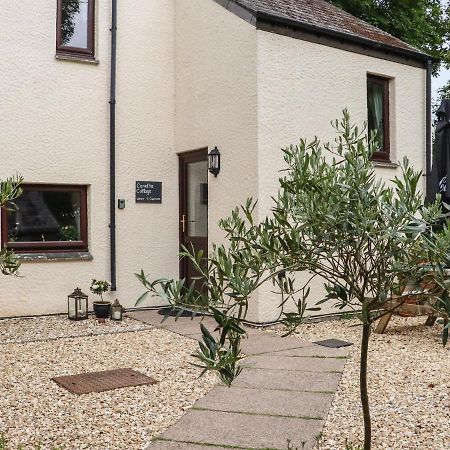 Camellia Cottage بودمين المظهر الخارجي الصورة